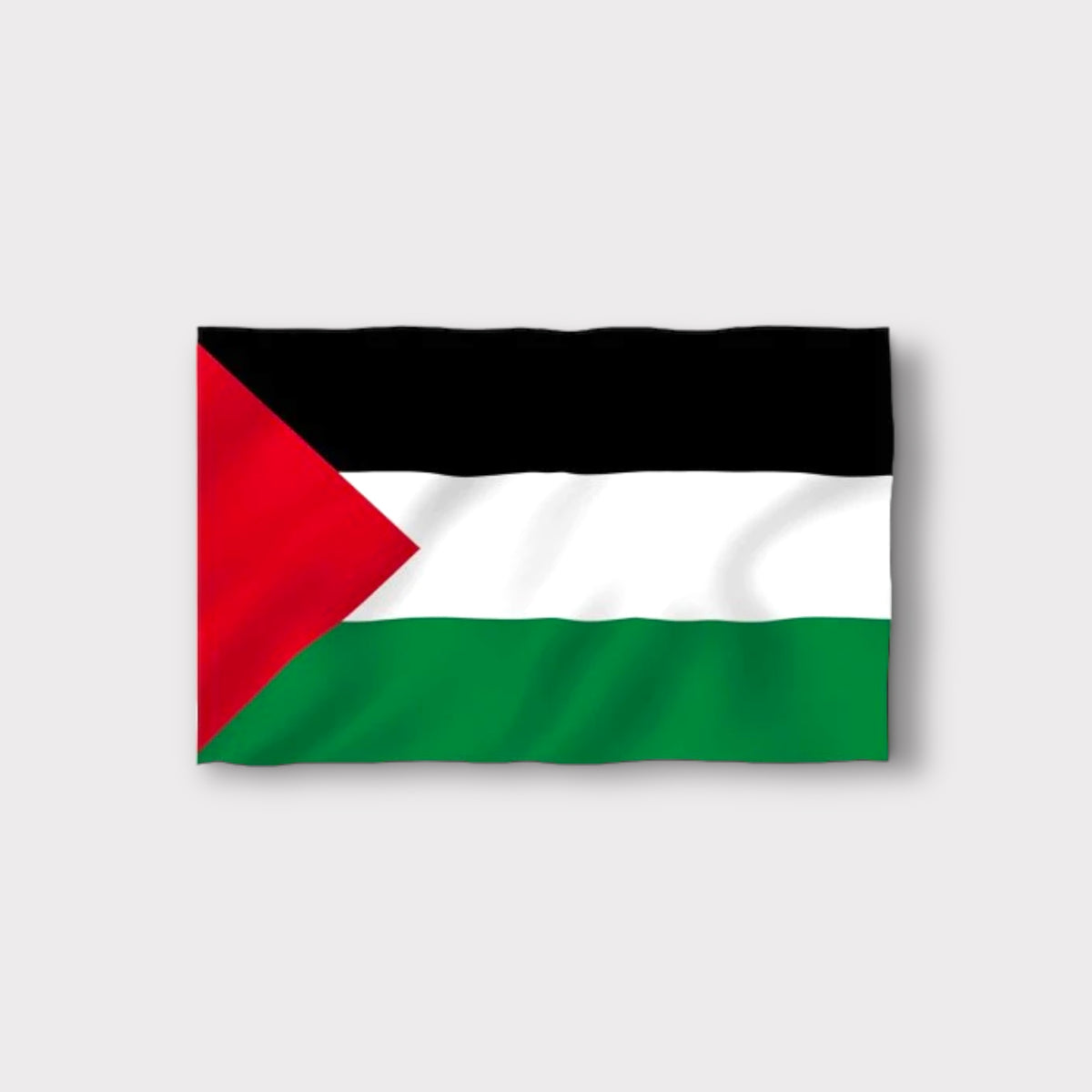 Palestine National Flag