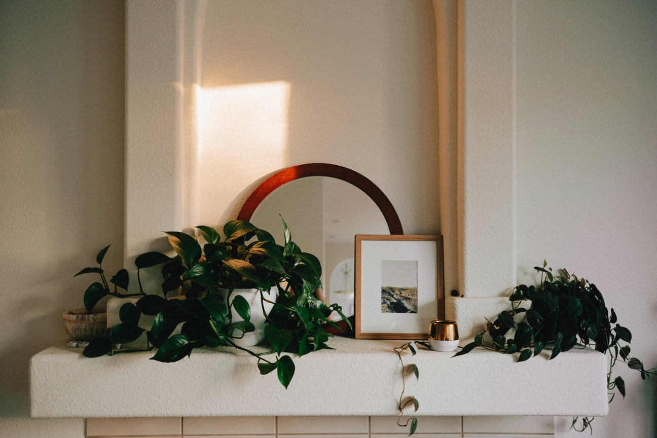 Top 5 Ways to Add Summer Freshness to Your Living Space