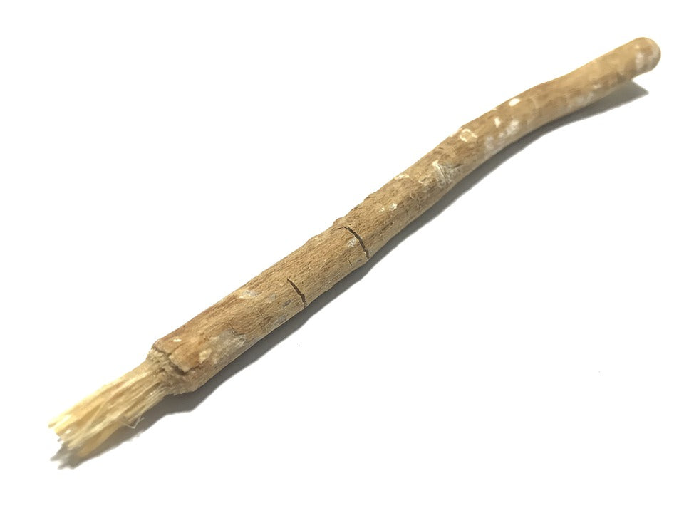 Everything You Need to Know About Miswak