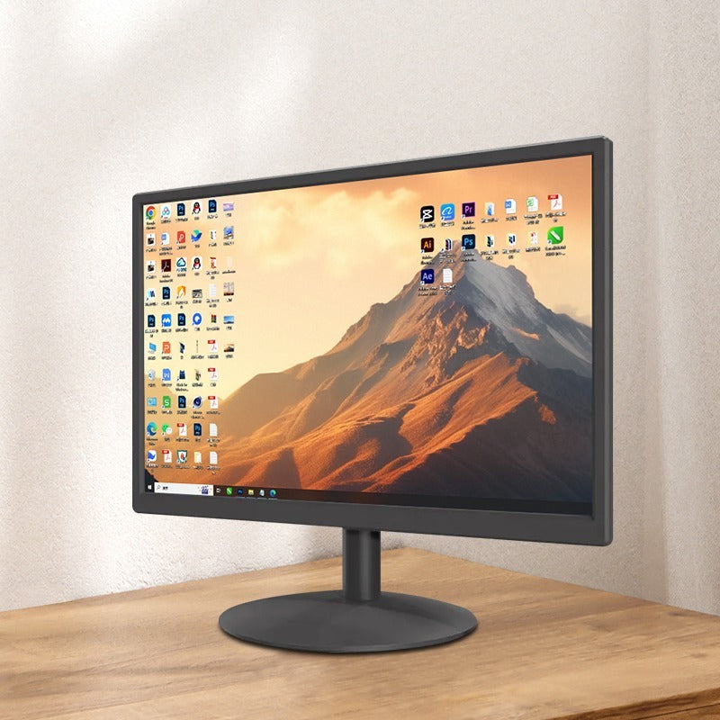 LCD Professional Monitor